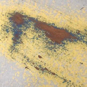 Meet your Posher, Ginger